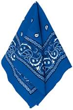 Blue Paisley Bandana