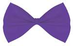 Purple Bow tie