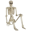 Skeleton - Life Size And Posable