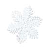 Sparkle Snowflake 6in Molded Plastic Decoration