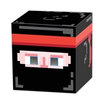 8-Bit Ninja Box Head