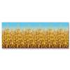 Cornstalks Backdrop