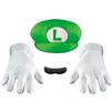 Luigi Accessory Kit - Adult