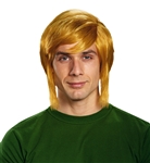 Legend of Zelda Link Adult Wig