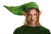 Legend of Zelda Link Adult Costume Kit