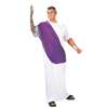 HAIL CAESAR! ADULT COSTUME