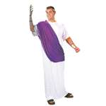 HAIL CAESAR! ADULT COSTUME