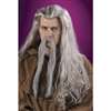 DELUXE WIZARD WIG