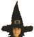 RIDGES WITCH HAT