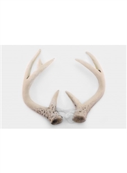 Deer Antlers