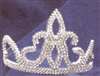 SILVER TIARA