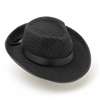 Pin Stipped Fedora