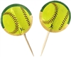 Girl's Fastpitch Softball Party Picks