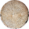 Cut Timber 15 Inch Platter