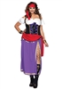 Traveling Gypsy 3X/4X Adult Costume