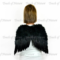 Angel Wings Black 20X16 With Halo