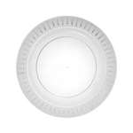 Elegance 10.25  Clear Plastic Plates