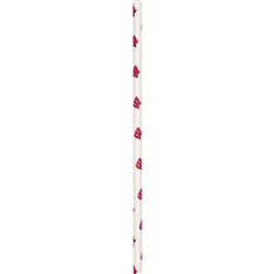 Wisconsin Badgers Paper Straws