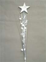 SILVER STAR SPRAY