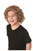 Willy Wonka Child Size Wig