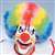 Multicolor Clown / Afro Wig