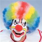 Multicolor Clown / Afro Wig