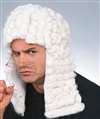 JUDGE WIG