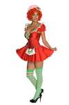 Strawberry Shortcake Lg Adult Costume