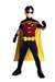 Robin Young Justice 8-10 Kids Costume Age 5-7