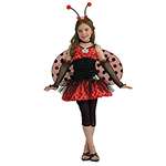 LADY BUG (TWEEN) MEDIUM