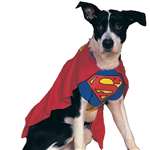 SUPERDOG PET COSTUME - LARGE