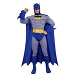 BATMAN BRAVE ADULT COSTUME - SMALL