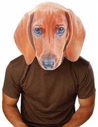 A Pet's Life Dog Big Head Mask