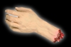 Severed Hand Prop