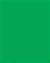 Green Placemats Paper-24 Ct