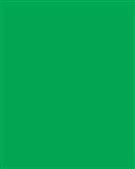 Green Placemats Paper-24 Ct