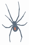 Black Widow Temporary Tattoo