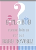 Gender Reveal Invitations