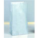 Silver Metallic Paper Bags