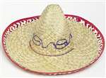 Sombrero W/ Check Trim