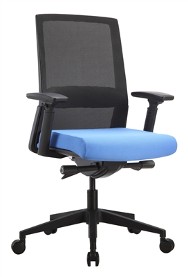 Ergonomic Chair