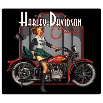 H-D CLASSIC PIN UP BABE SIGN