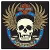 H-D SPADE SKULL SIGN