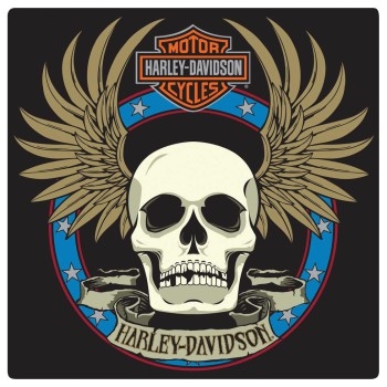 H-D SPADE SKULL SIGN