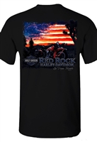 Red Rock Flag Silhouette