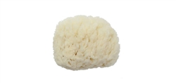 SMALL SEA WOOL SPONGES