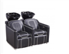 DIIR Ben Backwash Unit Double Seats - DIIR-7778