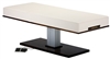 Living Earth Pedestal Flat Massage Top Electric Lift Table