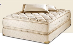 Constancia Pillowtop Round Mattress