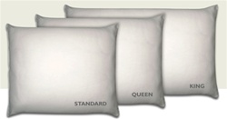 100% Organic Cotton Pillow